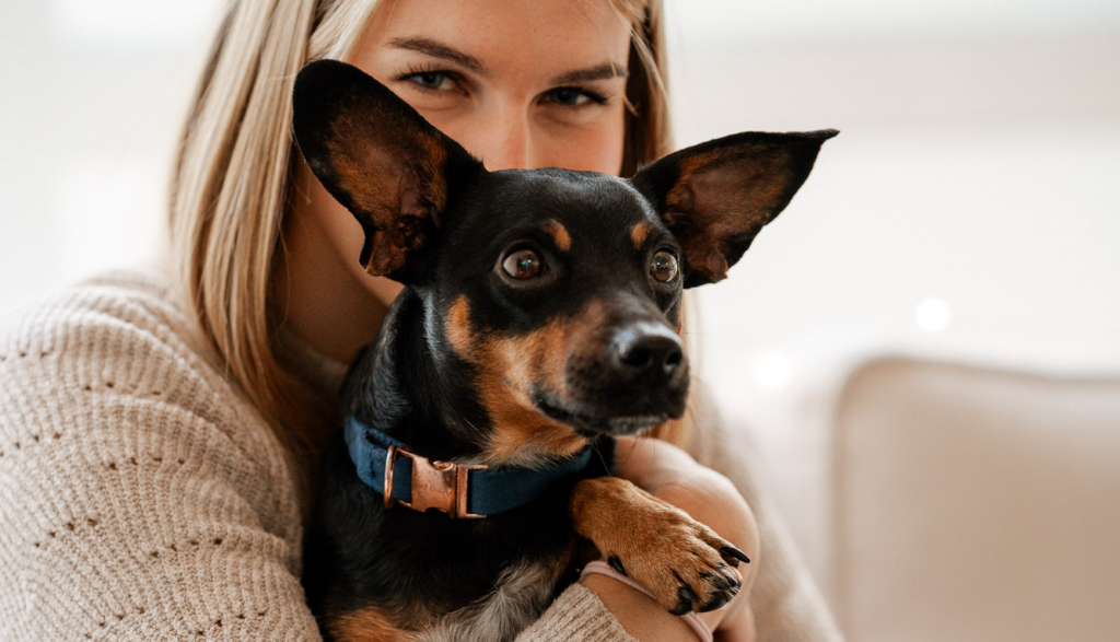 kleiner Hund im Arm der Chefin